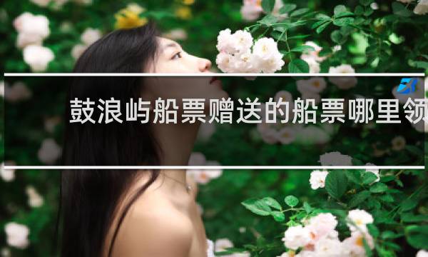 鼓浪屿船票赠送的船票哪里领