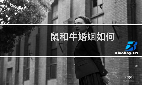 鼠和牛婚姻如何