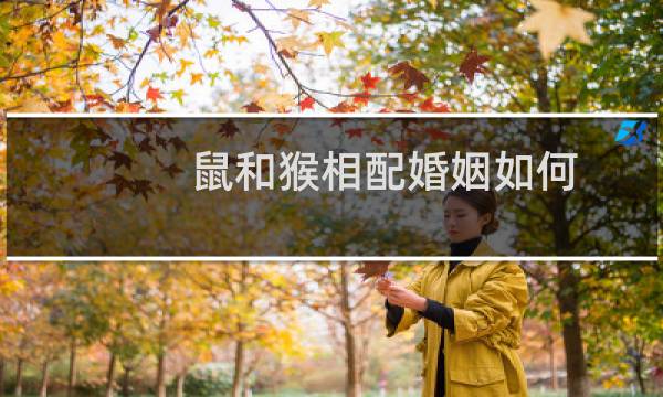 鼠和猴相配婚姻如何