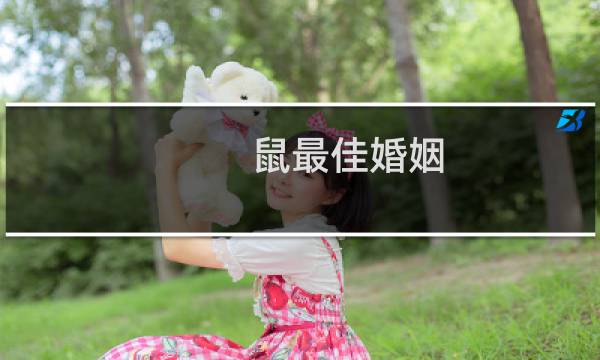 鼠最佳婚姻