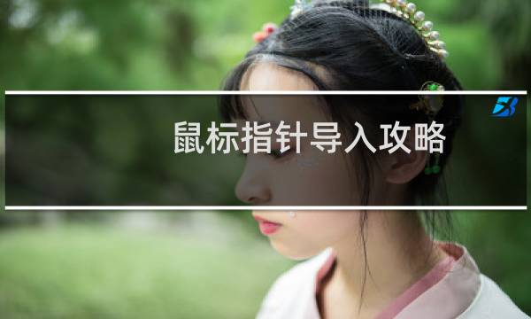 鼠标指针导入攻略
