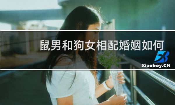 鼠男和狗女相配婚姻如何