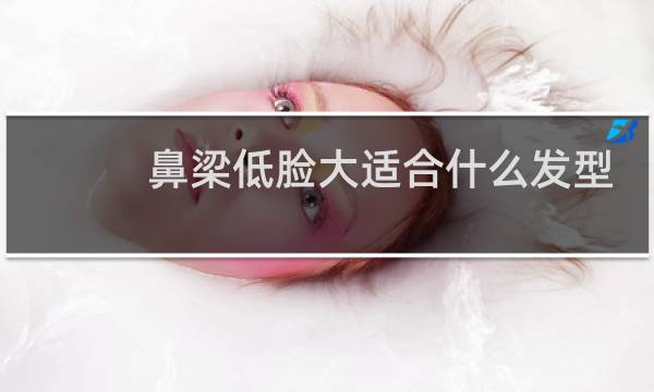 鼻梁低脸大适合什么发型