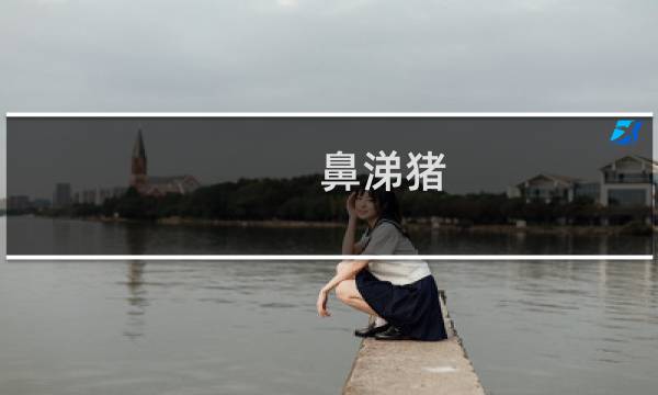 鼻涕猪 攻略