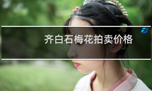 齐白石梅花拍卖价格