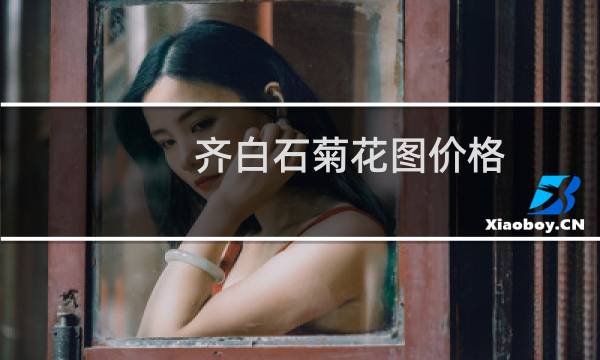 齐白石菊花图价格