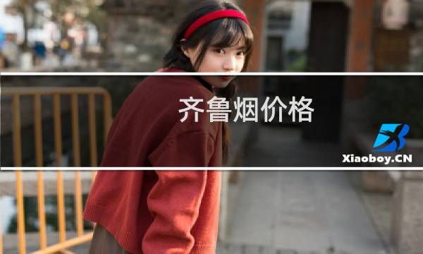 齐鲁烟价格