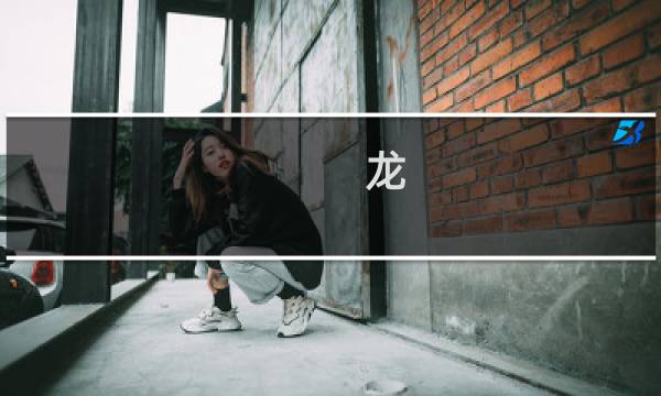 龙 化石 价格