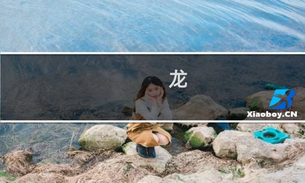 龙 谷攻略