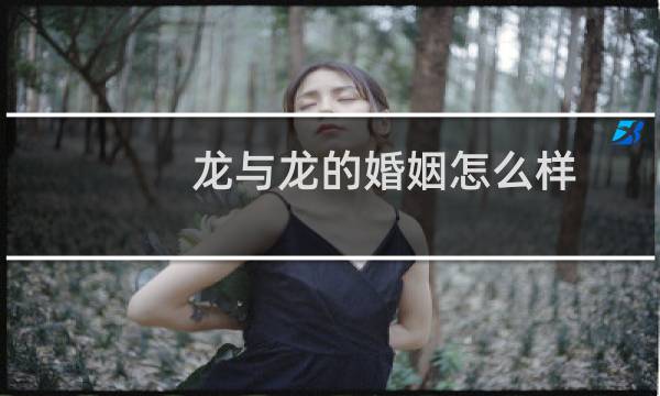 龙与龙的婚姻怎么样