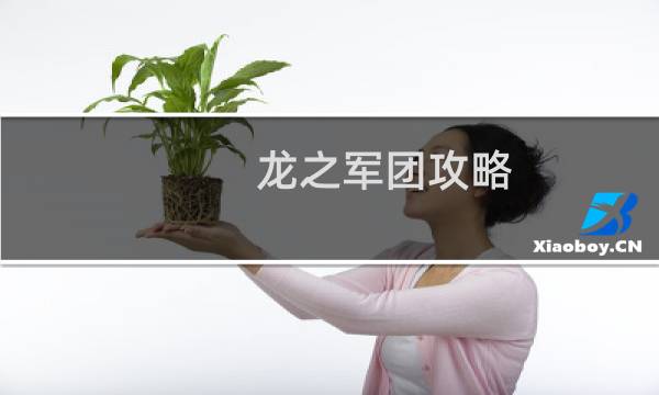 龙之军团攻略