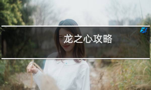 龙之心攻略