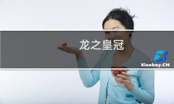 龙之皇冠 料理攻略