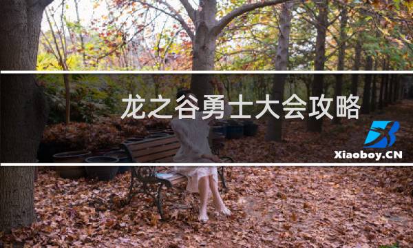 龙之谷勇士大会攻略