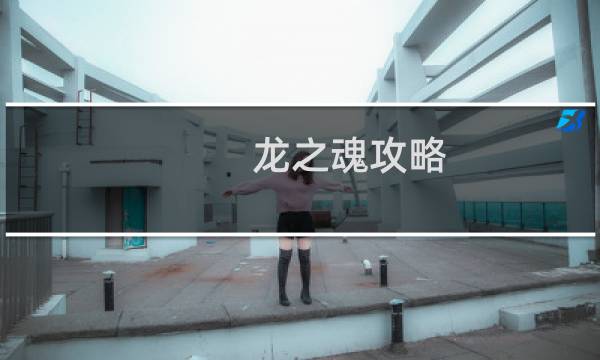 龙之魂攻略