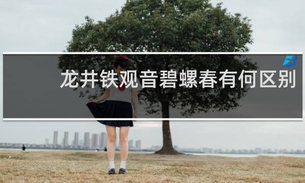 龙井铁观音碧螺春有何区别