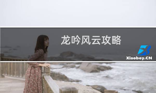 龙吟风云攻略