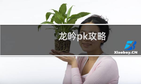 龙吟pk攻略