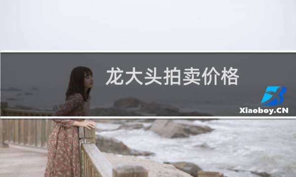 龙大头拍卖价格