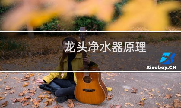 龙头净水器原理