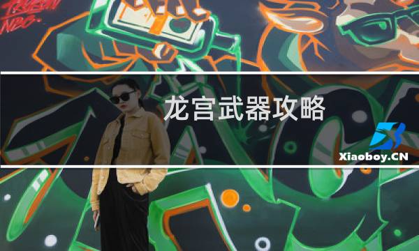龙宫武器攻略