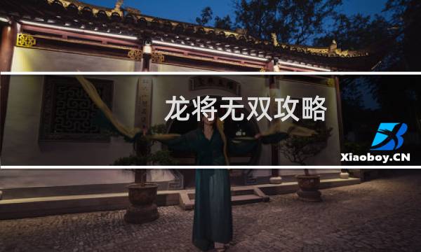 龙将无双攻略