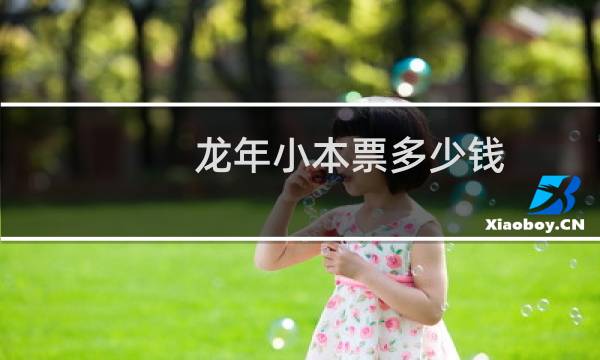 龙年小本票多少钱
