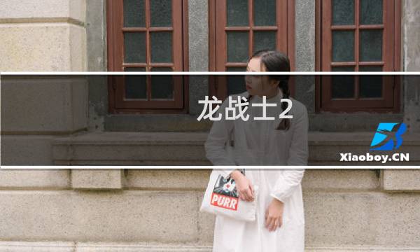 龙战士2 攻略