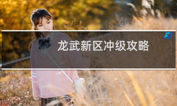 龙武新区冲级攻略