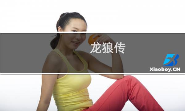 龙狼传-破凰之路攻略
