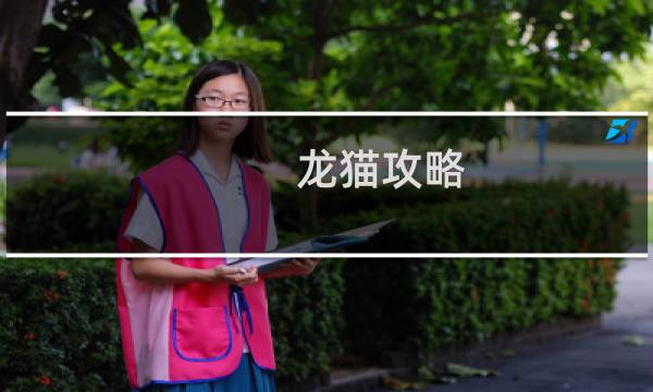 龙猫攻略