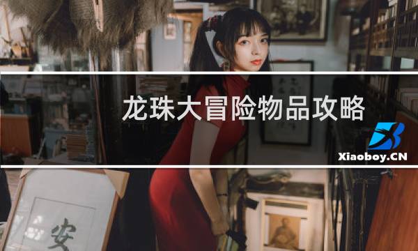 龙珠大冒险物品攻略