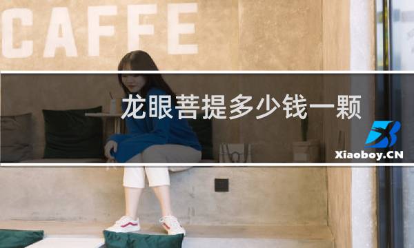 龙眼菩提多少钱一颗