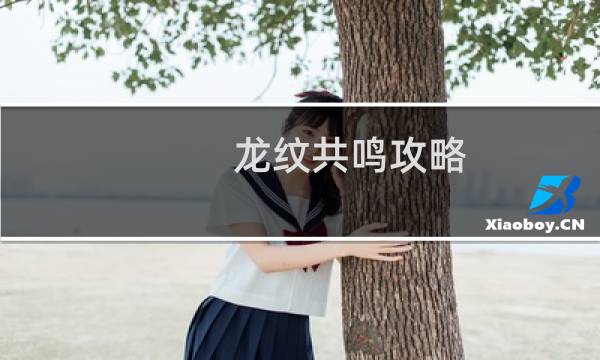 龙纹共鸣攻略