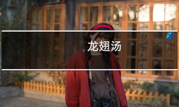 龙翅汤 攻略