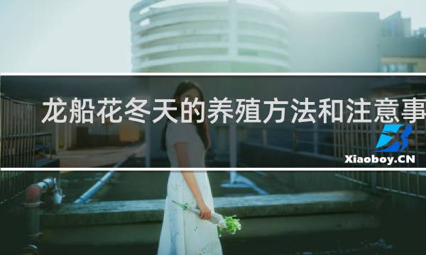 龙船花冬天的养殖方法和注意事项