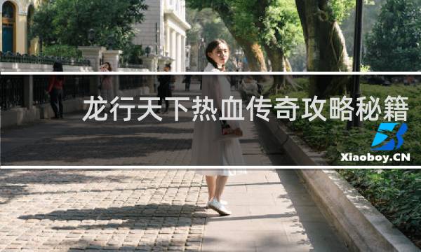 龙行天下热血传奇攻略秘籍