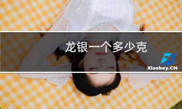 龙银一个多少克