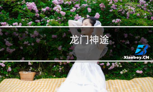 龙门神途 攻略