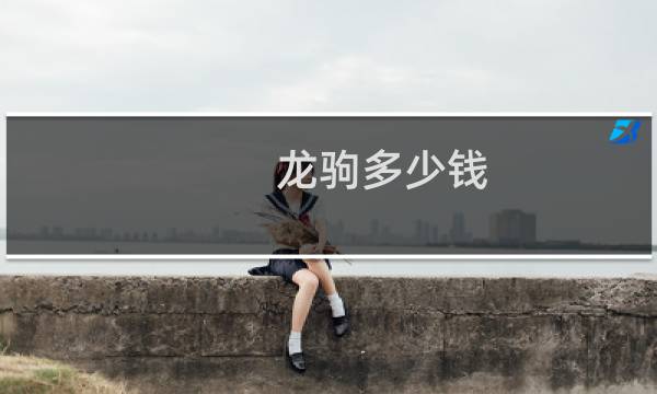 龙驹多少钱