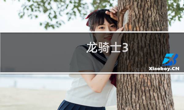 龙骑士3 攻略