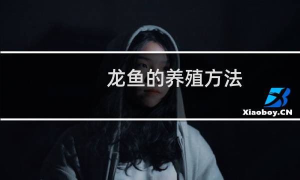 龙鱼的养殖方法