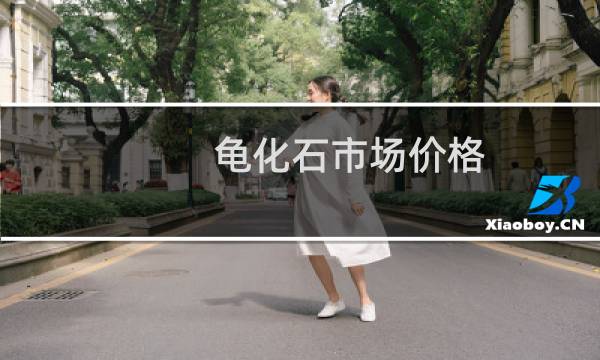 龟化石市场价格