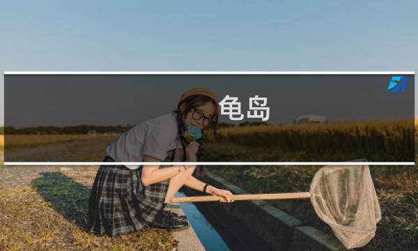 龟岛 攻略