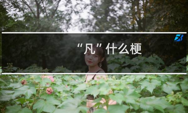 “凡”什么梗