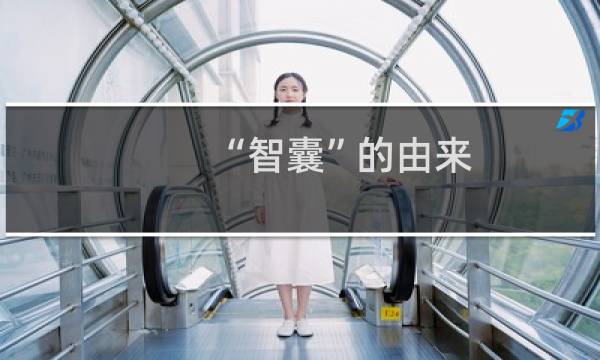 “智囊”的由来