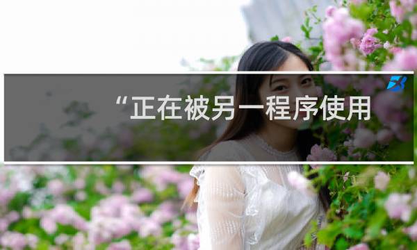 “正在被另一程序使用”从而无法删除如何解决