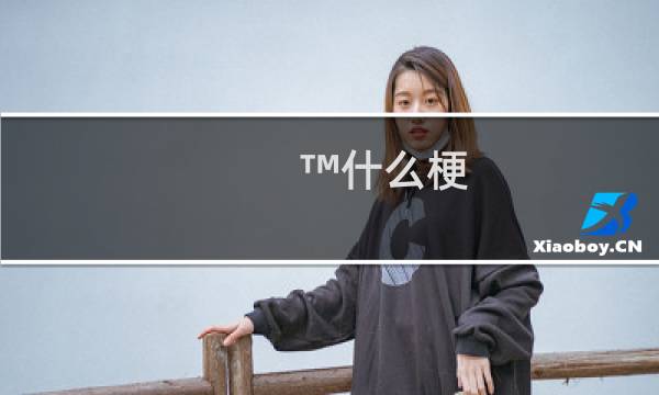 ™什么梗