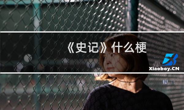 《史记》什么梗