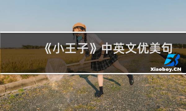 《小王子》中英文优美句子摘抄图片